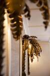 Gramont Opera Hotel