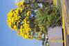 Wataview Bed & Breakfast