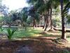 Mandrem Restzone 4bhk