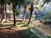 Mandrem Restzone 4bhk