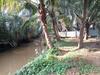 Mandrem Restzone 4bhk