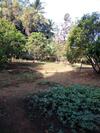 Mandrem Restzone 4bhk