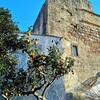 Palazzo Frangipane Bed & Breakfast