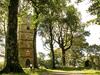 Brynkir Tower