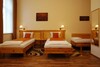 Hotel Manzard Panzio