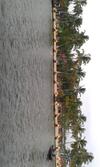 Regant Lake Village Hotel