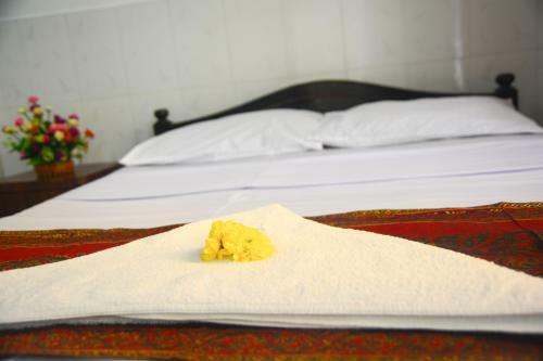 Albergo 11 Happy Backpackers