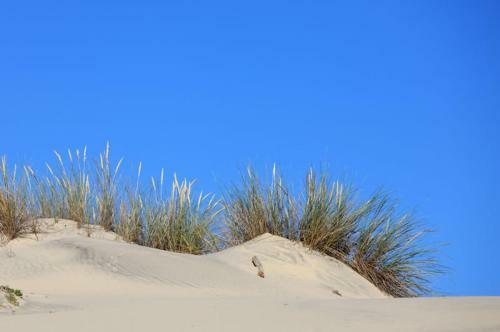Maison Soleil - R�sidence Dune Blanche