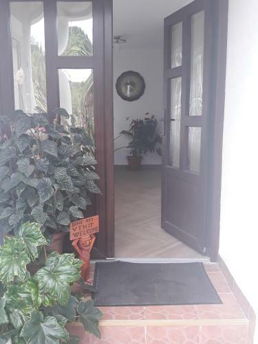 Ostello Casa Flavius