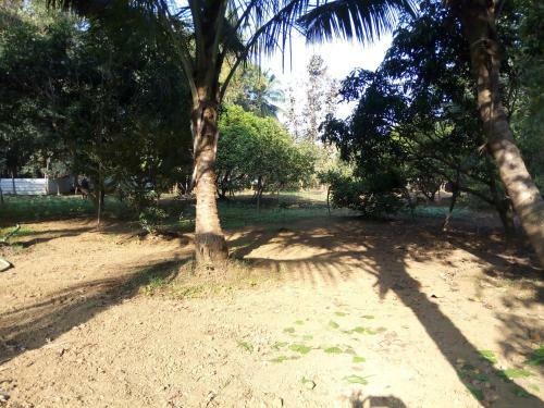 Mandrem Restzone 4bhk