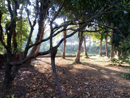 Mandrem Restzone 4bhk