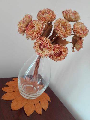 Zen Cani�o Apartment