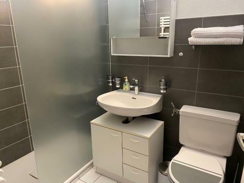 Appartamento Studio Velan 315