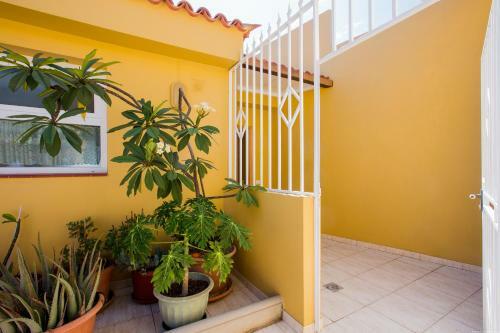 Apartment Ceyla Beach View, Los Cristianos