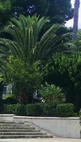 White Bear Apartment