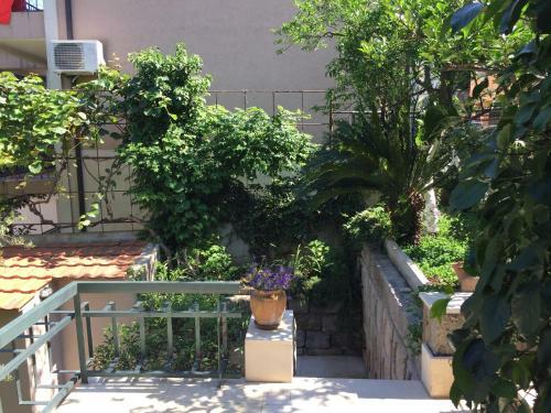 Apartment Branka Fortunella