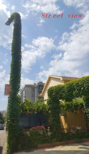 Appartamento Garden Suite