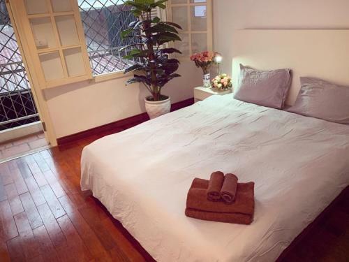 Mayhouse -cozy Harmony