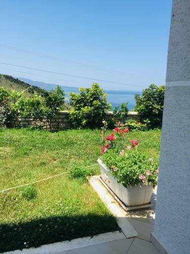 Appartamento Sunset House