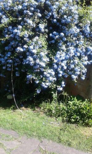 Casita C�ntrica