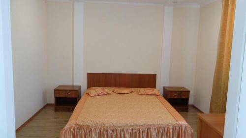 Hotel Centralnyi