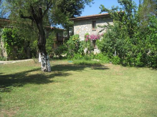 Doga Apartments