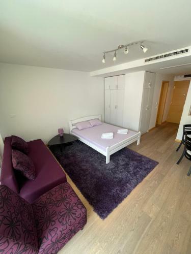 Sunny Boulevard Apartment