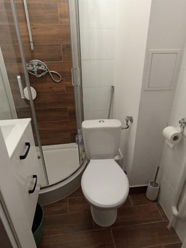 Apartament Zwierzyniecka 15
