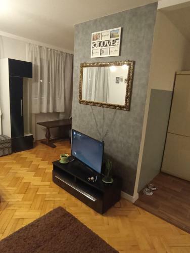Apartament Zwierzyniecka 15