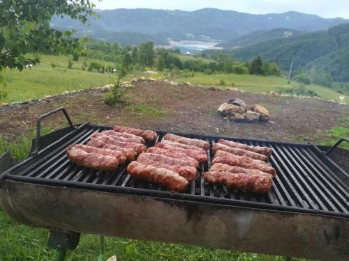 Uzivancija Na Tari