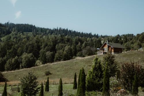 Uzivancija Na Tari