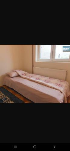 Ozzy Apartman