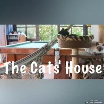 Pousada The Cats' House